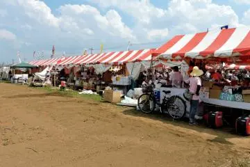 <p>Shaved ice, fried noodles, frozen pineapple, steak kebabs... I love festival food!</p>