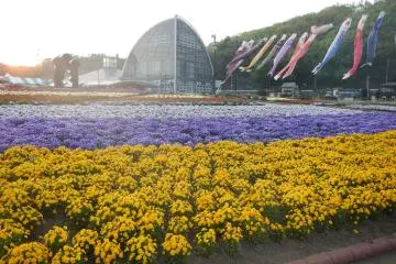 Exploring Motegi Town in Tochigi
