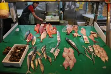 <p>More and more fish</p>