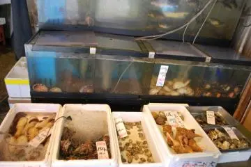 <p>Fish in tanks; many restaurants keep fish alive in aquariums until they are ordered for dinner</p>