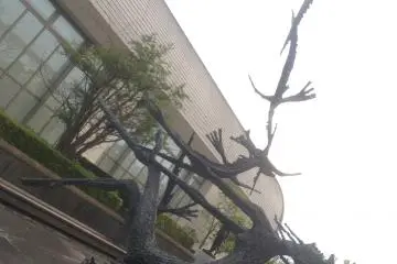 One of the sculptures outside the Museum of Art