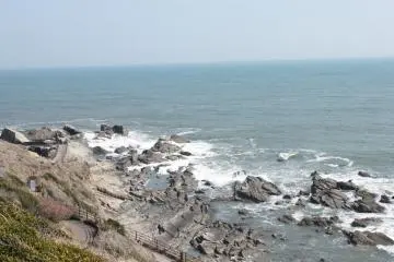 <p>Locals troop to this part of Chiba just before New Year's Day to catch a glimpse of the first sunrise of the new year.&nbsp;</p>