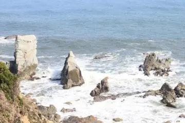 <p>New Year or not, the view from the Inubosaki Lighthouse is undeniably beyond beautiful. Wild. Untouched. Pure.&nbsp;</p>
