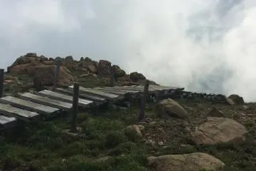 <p>Almost to the top but not quite.</p>
