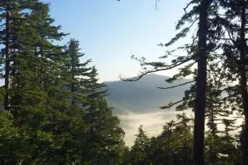 <p>A view from half way up.</p>