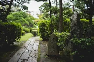 <p>Looking into part of the Temple's gardens</p>