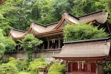 <p>Mikumari Shrine's main hall</p>
