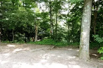 <p>Next to the carousel are forest paths</p>