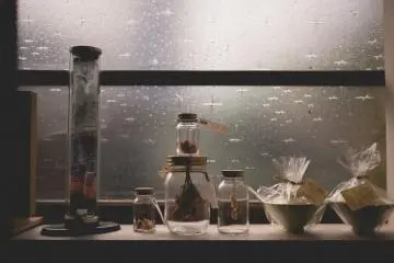 <p>Decor around the shop</p>
