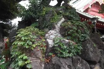 <p>This guardian watches from its hill for intruders</p>