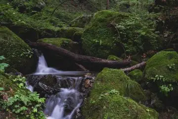 <p>Aliran sungai mengarah ke air terjun</p>