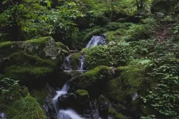 <p>Aliran sungai mengarah ke air terjun nanayo</p>