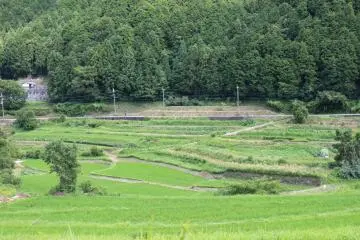 <p>Zoom!</p>