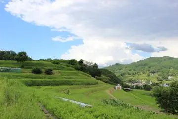 <p>The small shed on the slope</p>