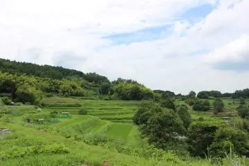 <p>On the Tanada</p>