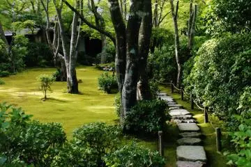 Le Jardin Okochi Sansô 