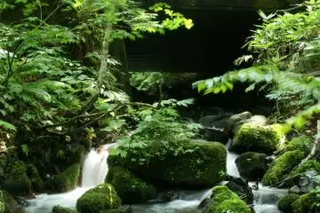 Une petite cascade près de la route