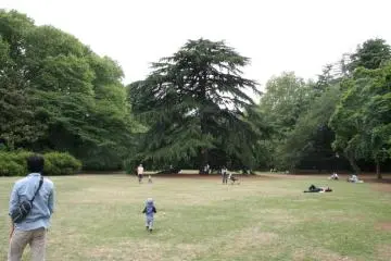 Plenty of room and fresh grass for kids to run around on.