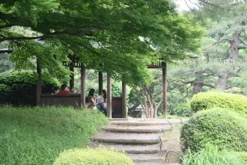 Foliage of all different colors of green, most of the year round.