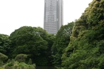 A quiet oasis amidst city buildings.