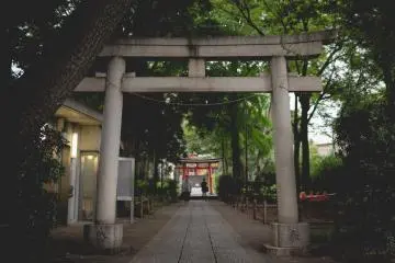 Gallery image