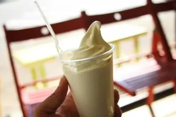 <p>Yogurt Sundae</p>