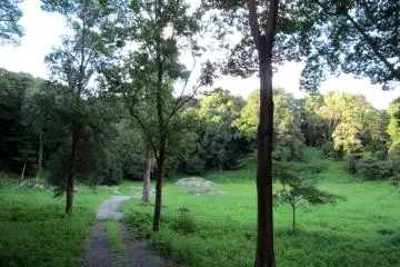 <p>The path just above parking lot</p>