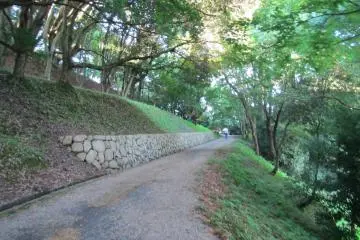 <p>Up into the woods</p>