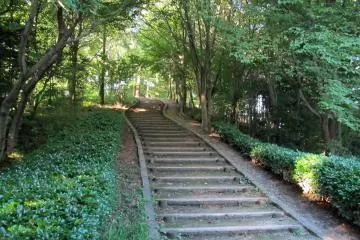 <p>The final stretch of stairs</p>