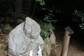 <p>A different angle</p>