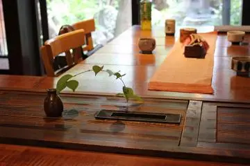 <p>And this arching plant</p>