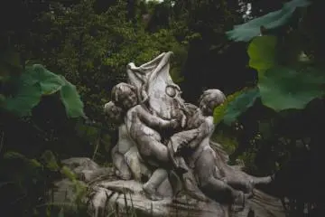 <p>Ikan Koi bergulat yang indah</p>