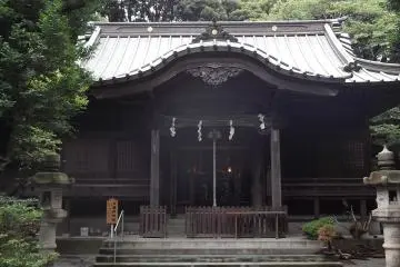 Gallery image