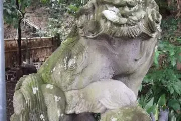 <p>So is this lion, with what looks like a soccer ball under its paw</p>