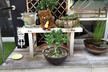 Walk past the homely decoration outside and you may be mistaken for a Japanese grandmother's house.