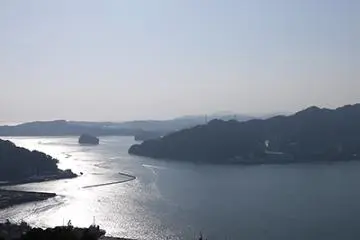 View of Kochi Bay