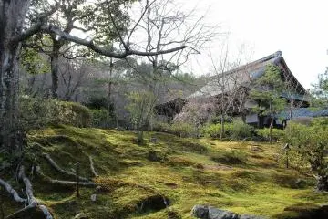 สวนมอส