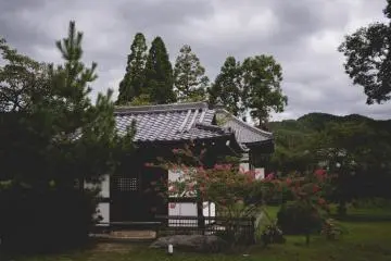 <p>Nice buildings surround the pond</p>