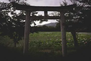<p>Arch to the pond</p>