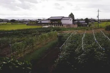 <p>Surround farms</p>