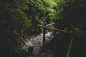 <p>A few steps</p>