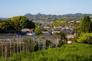 <p>A look back toward the abandoned orchard and quiet neighborhood on the walk to the trailhead</p>