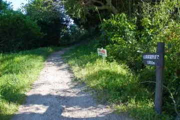 <p>The start of the trail ascending Mt. Kaya</p>