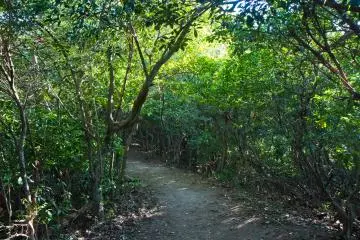 <p>The path is short but the scenery changes here and there</p>