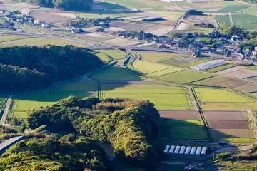 <p>Winding rivers through rice fields make beautiful patterns in the afternoon sun</p>