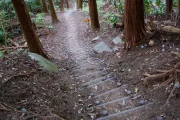 <p>Looking down one of the many staircases</p>