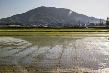 <p>Mt. Kaya's conical shape gives it the moniker "Little Mt. Fuji"</p>