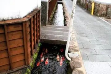 Photo: <a href="http://www.facebook.com/hijapan/posts/595205690606300" target="_blank" rel="noreferrer noopener nofollow">Hi Japan</a>