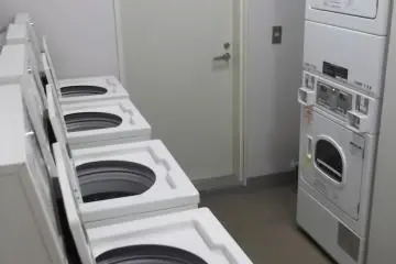 <p>Les machines &agrave; laver payantes.</p>