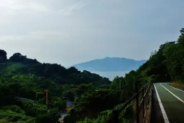 <p>Innoshima : la vue sur la for&ecirc;t et plus loin, la mer</p>